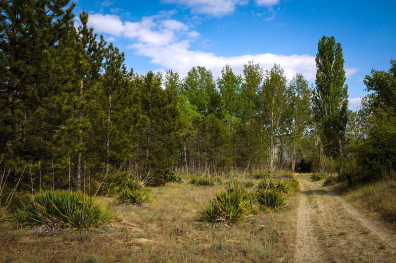 dsc_8371-3e9add21-367806