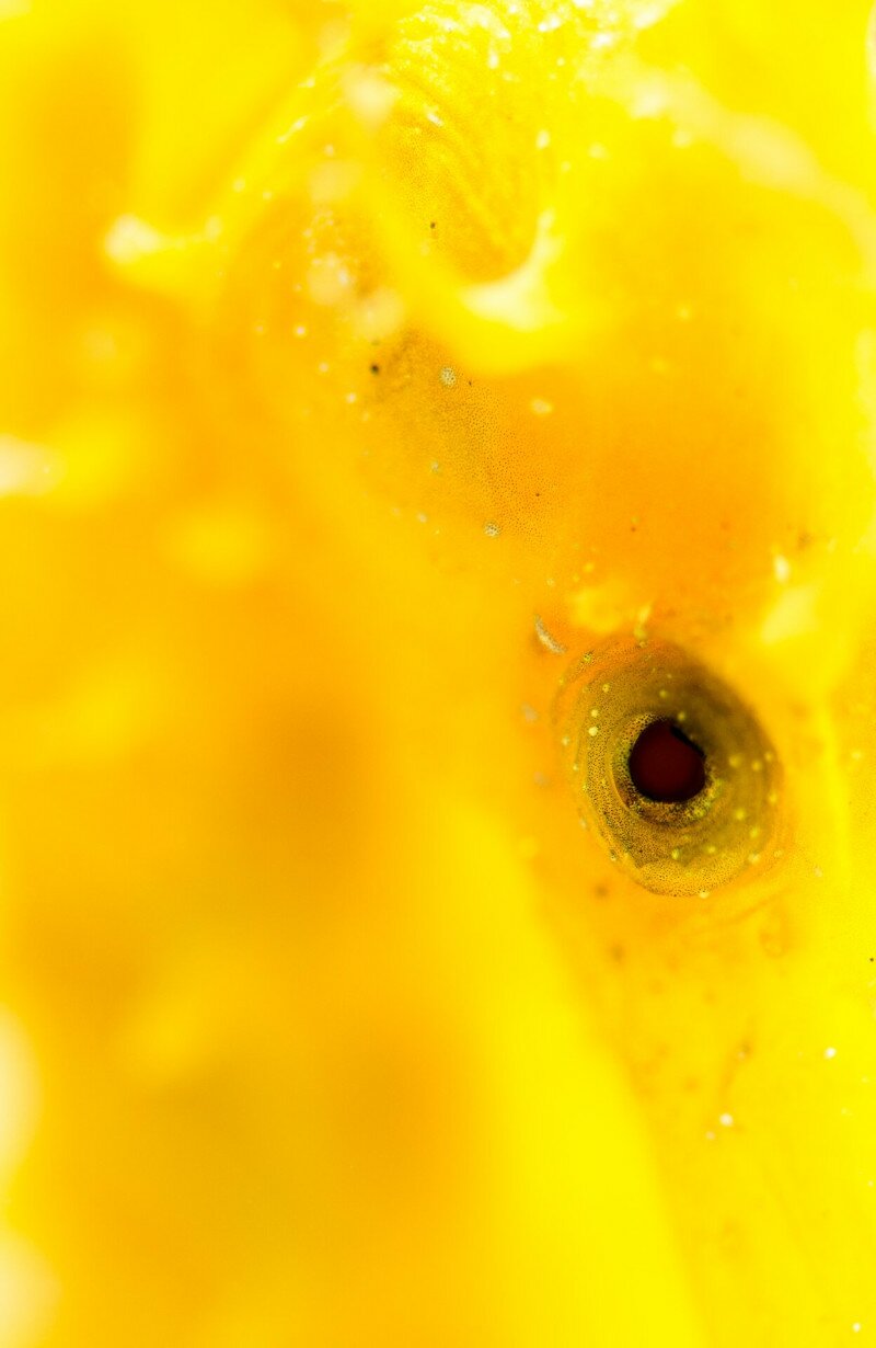 _DSC9142