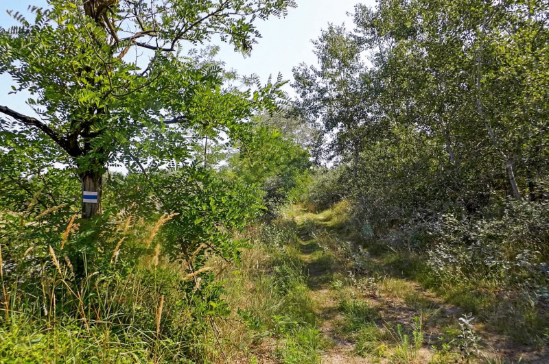 DSCF0105