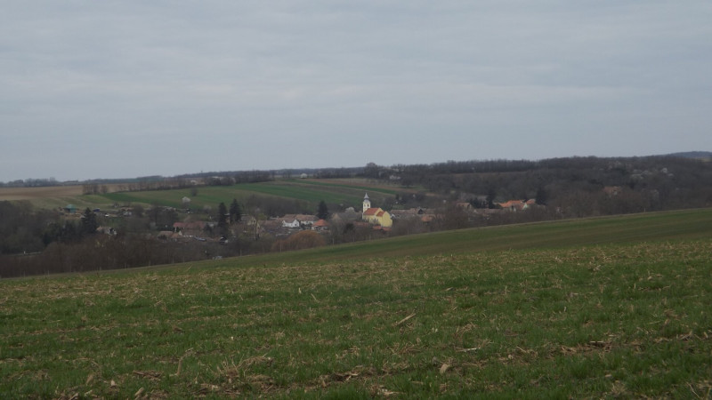 DSCF0348