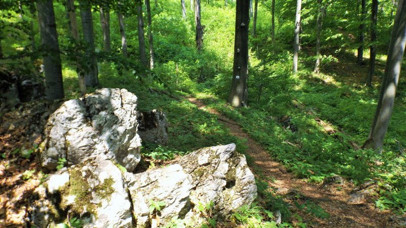 dscf1074.jpg