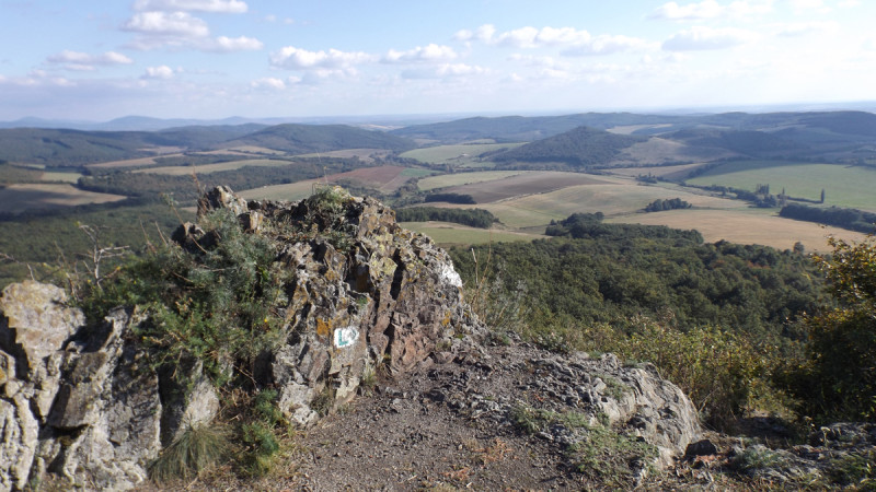 dscf7551.jpg