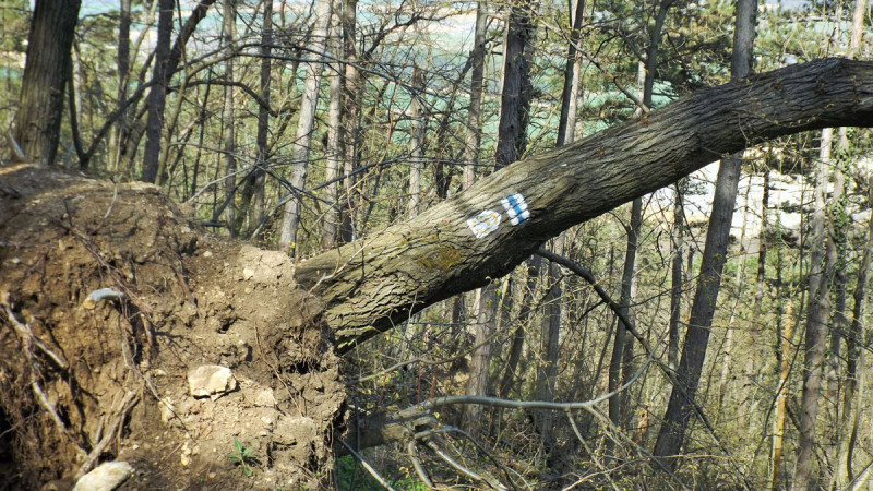 dscf9087.jpg