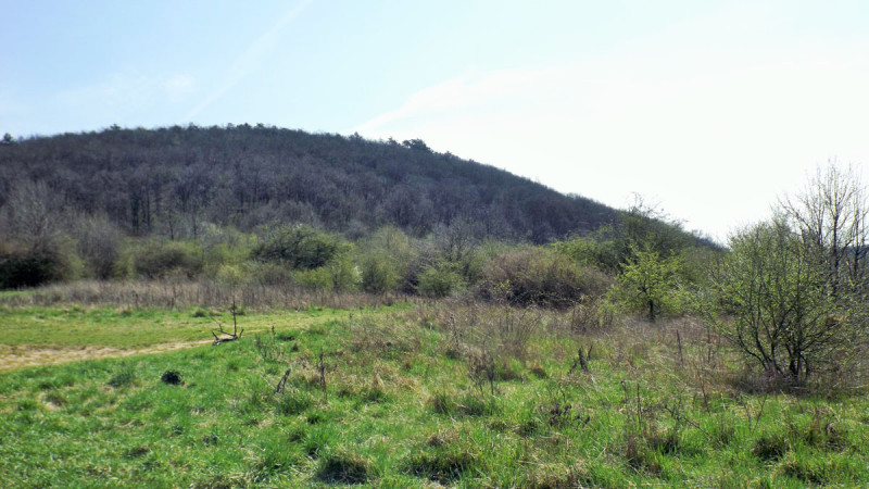 dscf9115.jpg