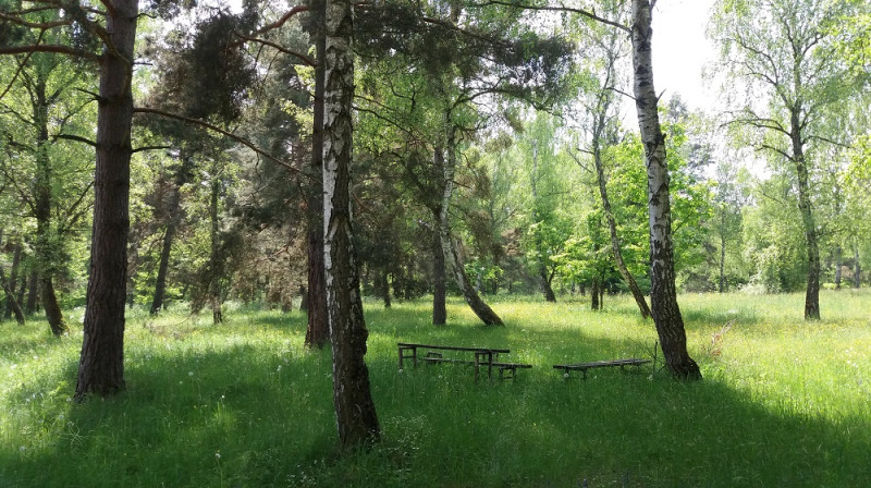duchonka_20170516_125605.jpg