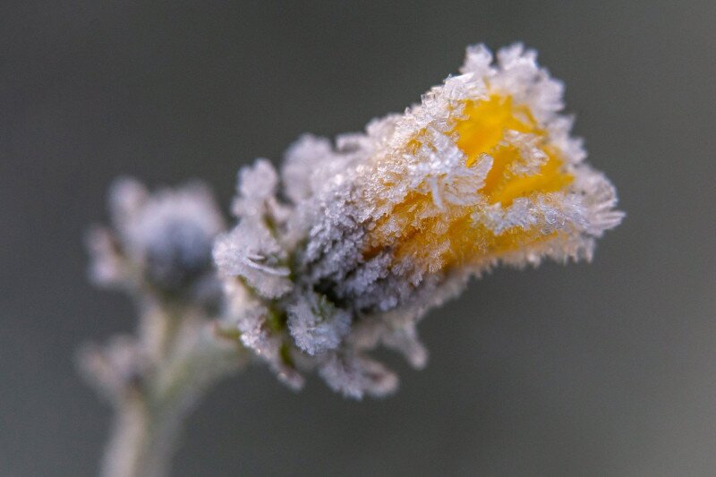 D__VG20201121005  MTI Varga György