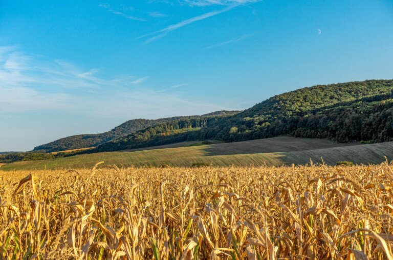 A Zuppa, a Lófingató és a Somlyó, avagy a Déli-Gerecse panorámás magaslatai