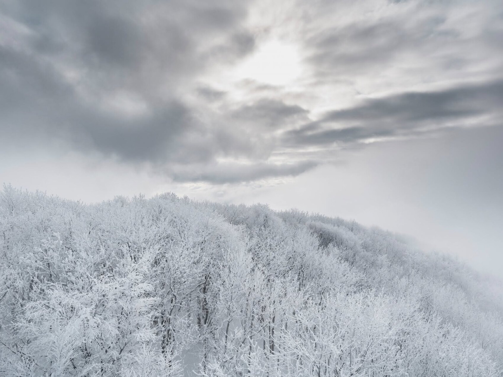 Fehérbe borult az ország – Galéria