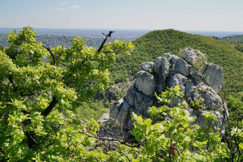 ����������������������������������������������������������������