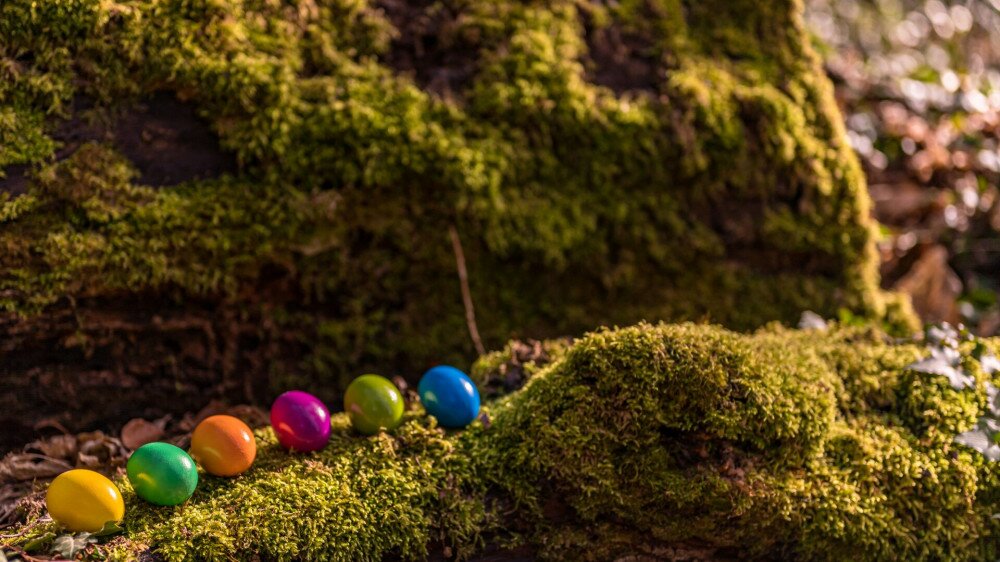 Easter eggs on the grass. Six colorful eggs on the moss.