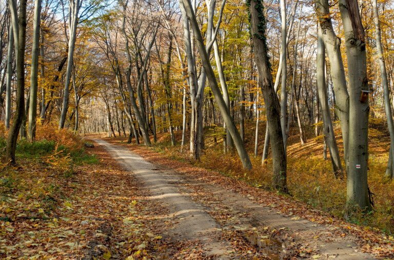 Vértesi tengerszemek nyomában, avagy a piros út különleges színfoltjai