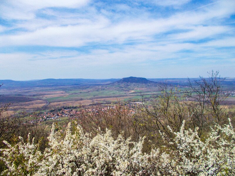 ��������                                                                                                                       �