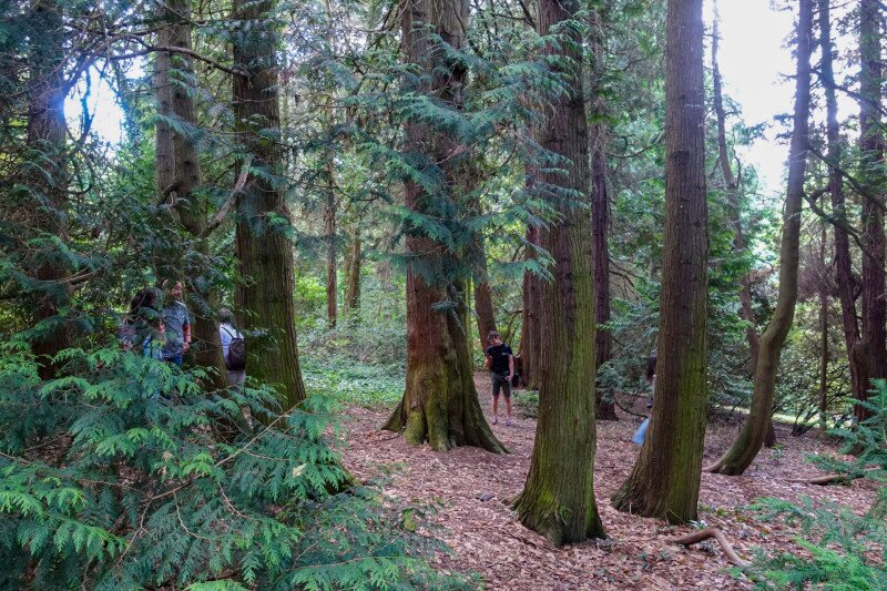 ����������������������������������������������������������������