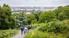 Egy élhető város nemcsak az ember, de a természet igényeire is odafigyel