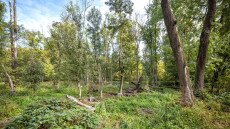 Egy eltévedt férfit kellett kimenteni az ócsai lápvidéken