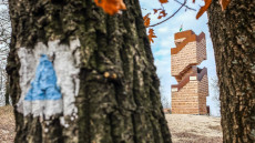 Egy kilátót újra megnyitottak, egy másikat lezártak a Pilisi-parkerdő területén