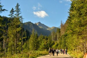 Egyre több a problémás vendég a szlovák hegyekben
