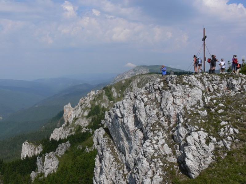 eke_vt_2013-1(1).jpg