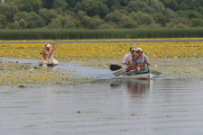 Elárasztott falu a Tisza-tóban
