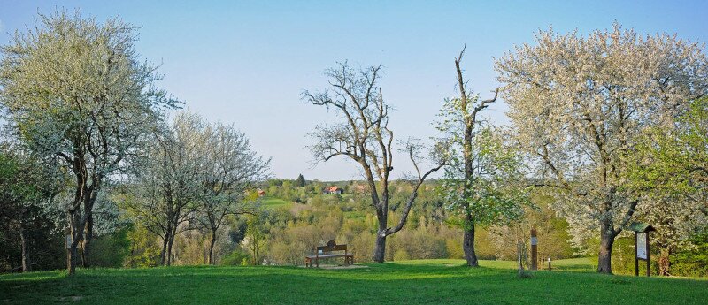 elet_a_kaszalogyumben_HM