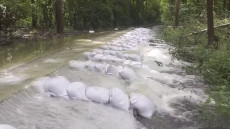Elöntötte a Duna a gemenci kisvasút pályáját – Videó