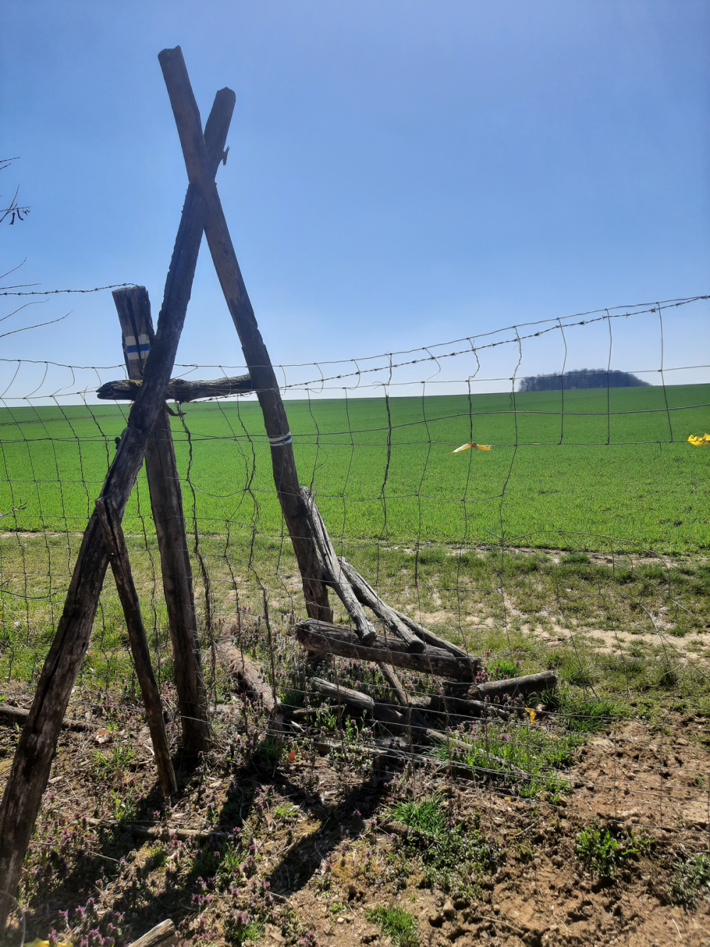 előtte_létra