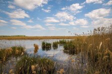 Eltűnhet a Homokhátság utolsó tava?