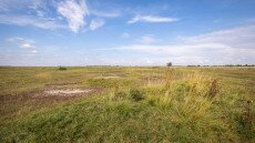 Eltűnhetnek a bükkösök, helyette a füves puszta válhat uralkodóvá hazánkban