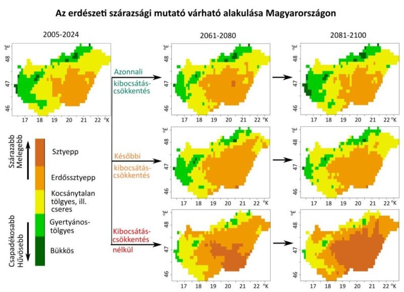 Erdészeti aszályindex