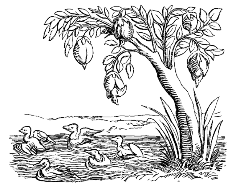 ese_Fac_simile_of_an_Engraving_on_Wood_from_the_Cosmographie_Universelle_of_Munster_folio_Basle_1552