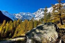 Európai Turistautak Konferenciája