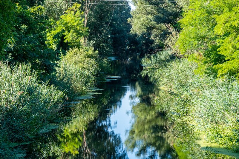 ez_csak_a_cikk_vegere