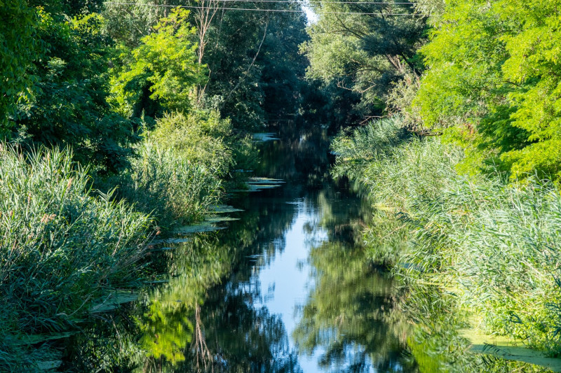 ez_csak_a_cikk_vegere