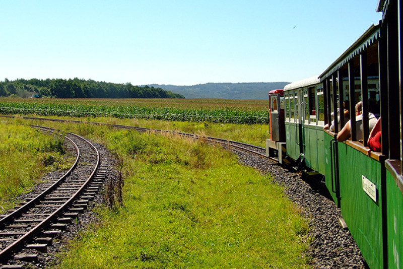 f0000055(1).jpg