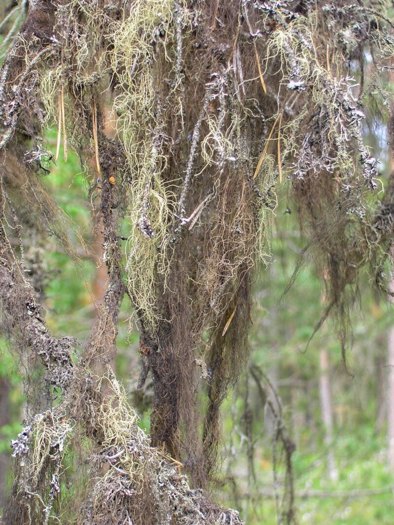 �������� ��������������������������������������������������������������������������������������������������������������������