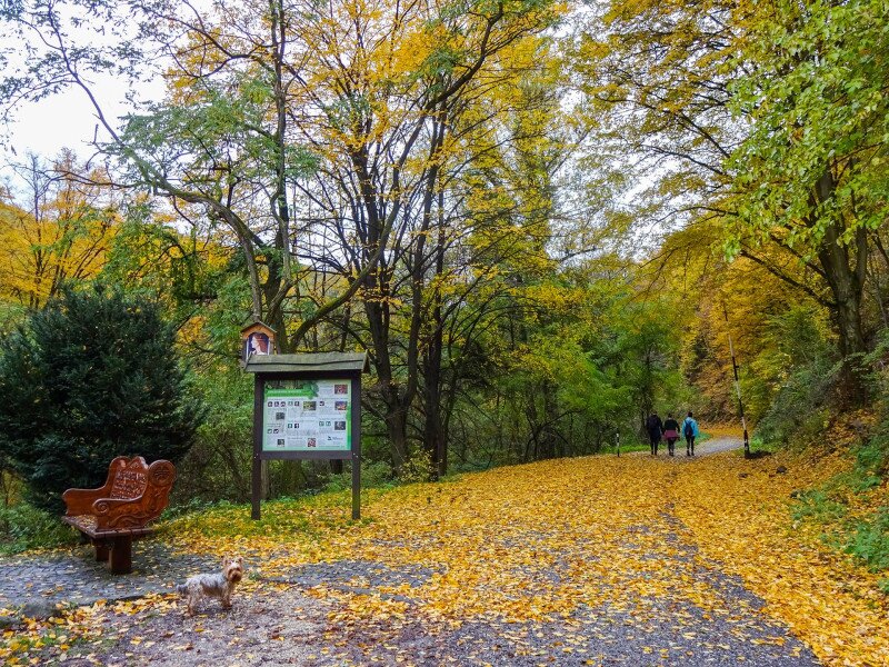 ����������������������������������������������������������������