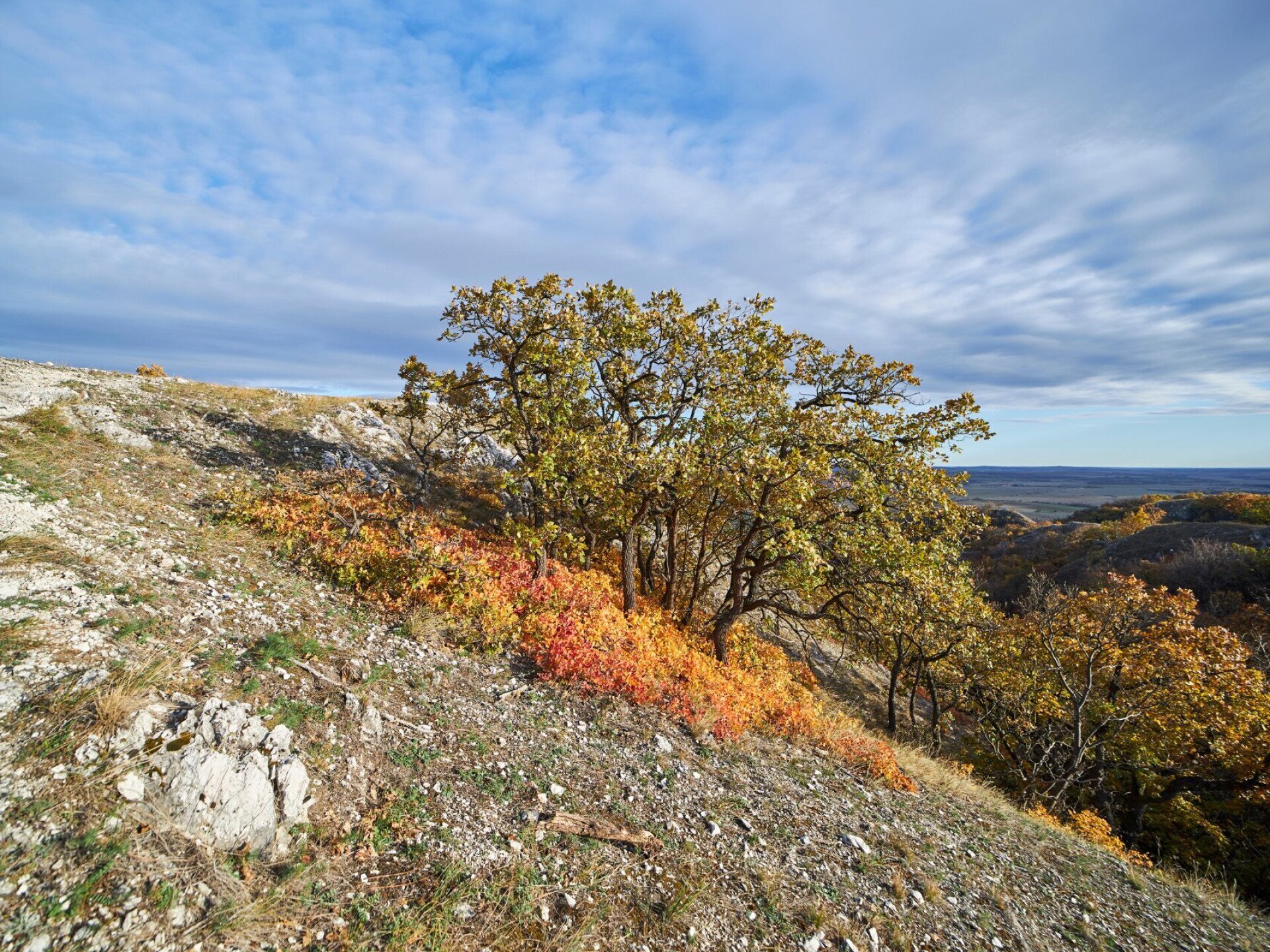 Cserszömörcével fűszerezett ősz a Vértesben