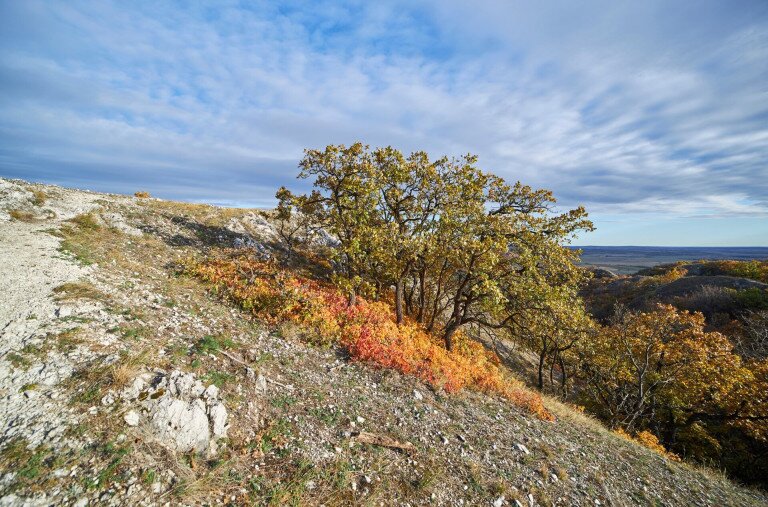 Cserszömörcével fűszerezett ősz a Vértesben