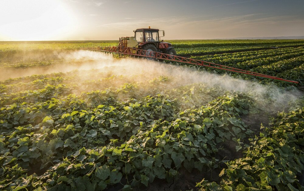 Farmer on a tractor with a sprayer makes fertilizer for young vegetables