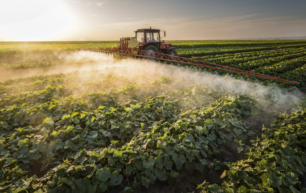 Farmer on a tractor with a sprayer makes fertilizer for young vegetables