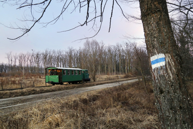 feb-25c_068-2.jpg