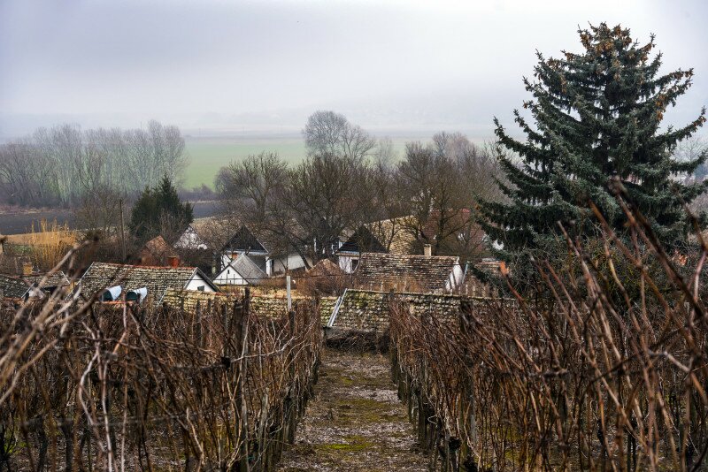 feb-9n_021-2.jpg