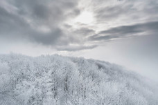 Fehérbe borult az ország – Galéria