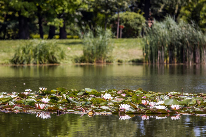 Fehervarcsurgoi-kastelypark-to-2-1