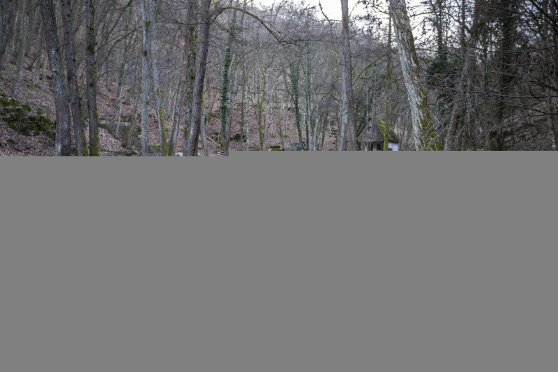 FI_Aggtelek_torofej_volgy_4317