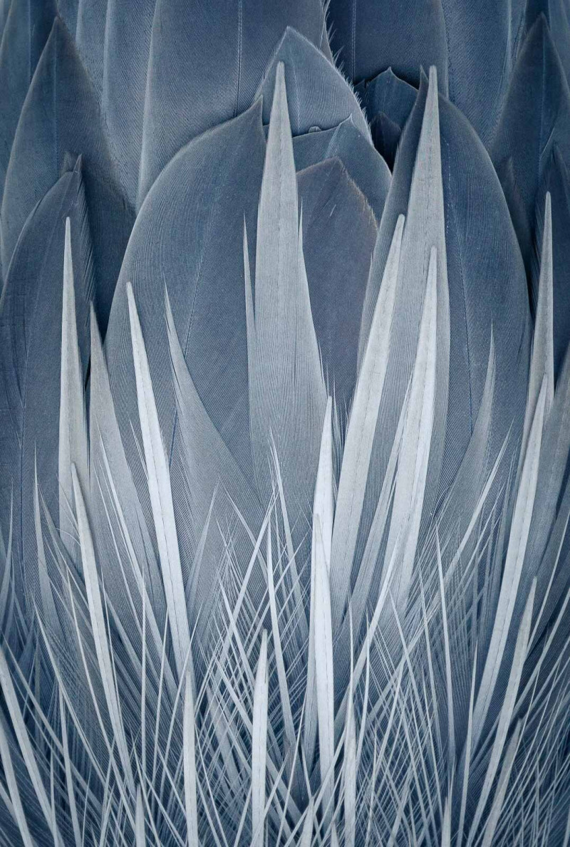 Figyelem a reszletekre 03 bronz 'Blue Flames' by Kerry Wu