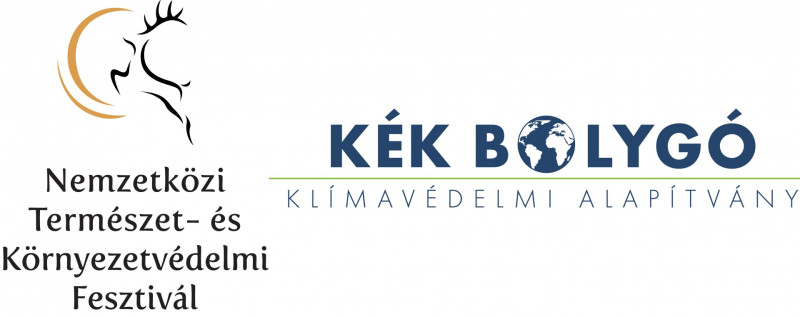 Filmfesztivál