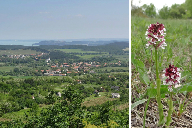 Forrás: Bakony-Balaton Geopark