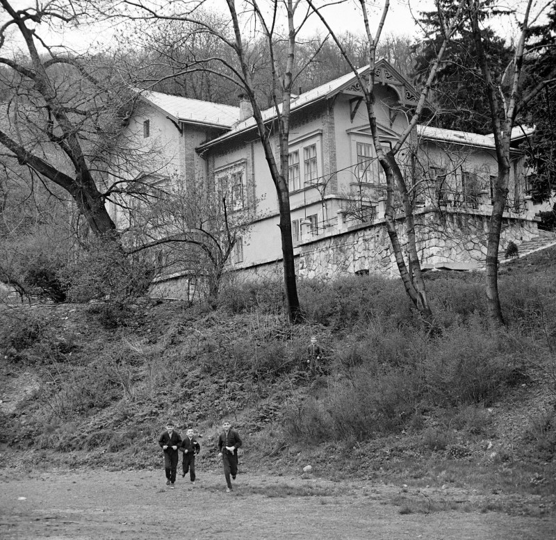 fortepan-bojar-sandor_1961