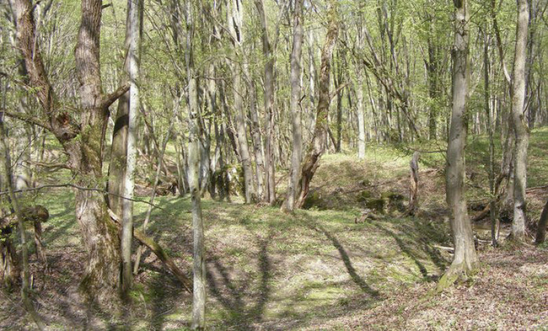 Fotó: Bakony-Balaton Geopark